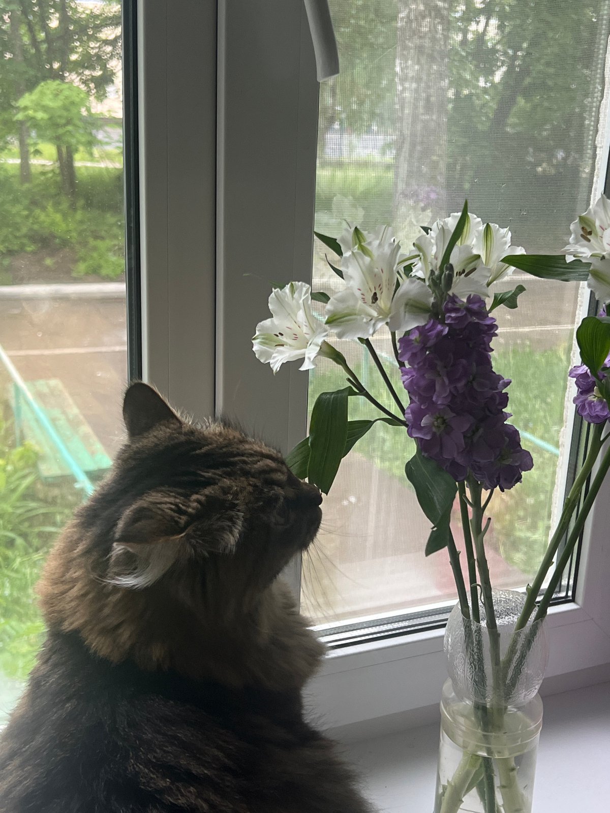 Morning domestic life documented in Chaikovsky, Russia apartment