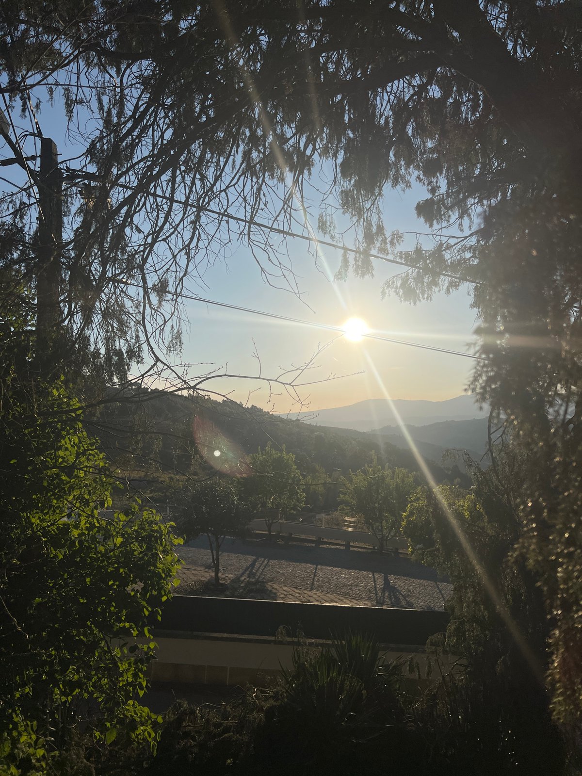 Spring afternoon scenes captured across Vila Real, Portugal vineyards