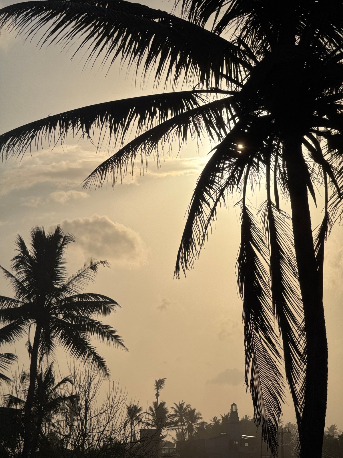 Volleyball under hazy palms in Goviyapana, Sri Lanka
