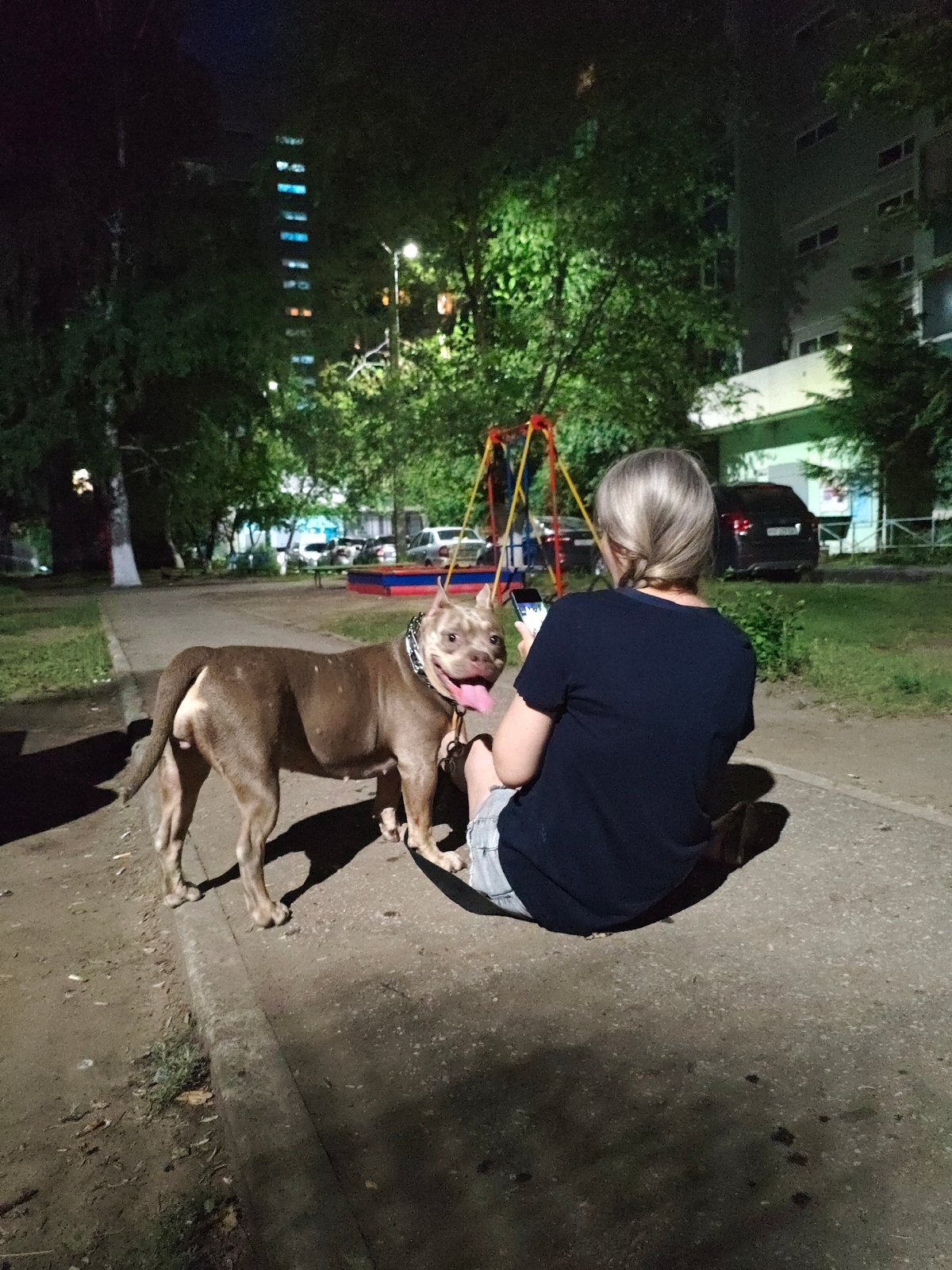 Late-night park hang with pit bulls and a phone