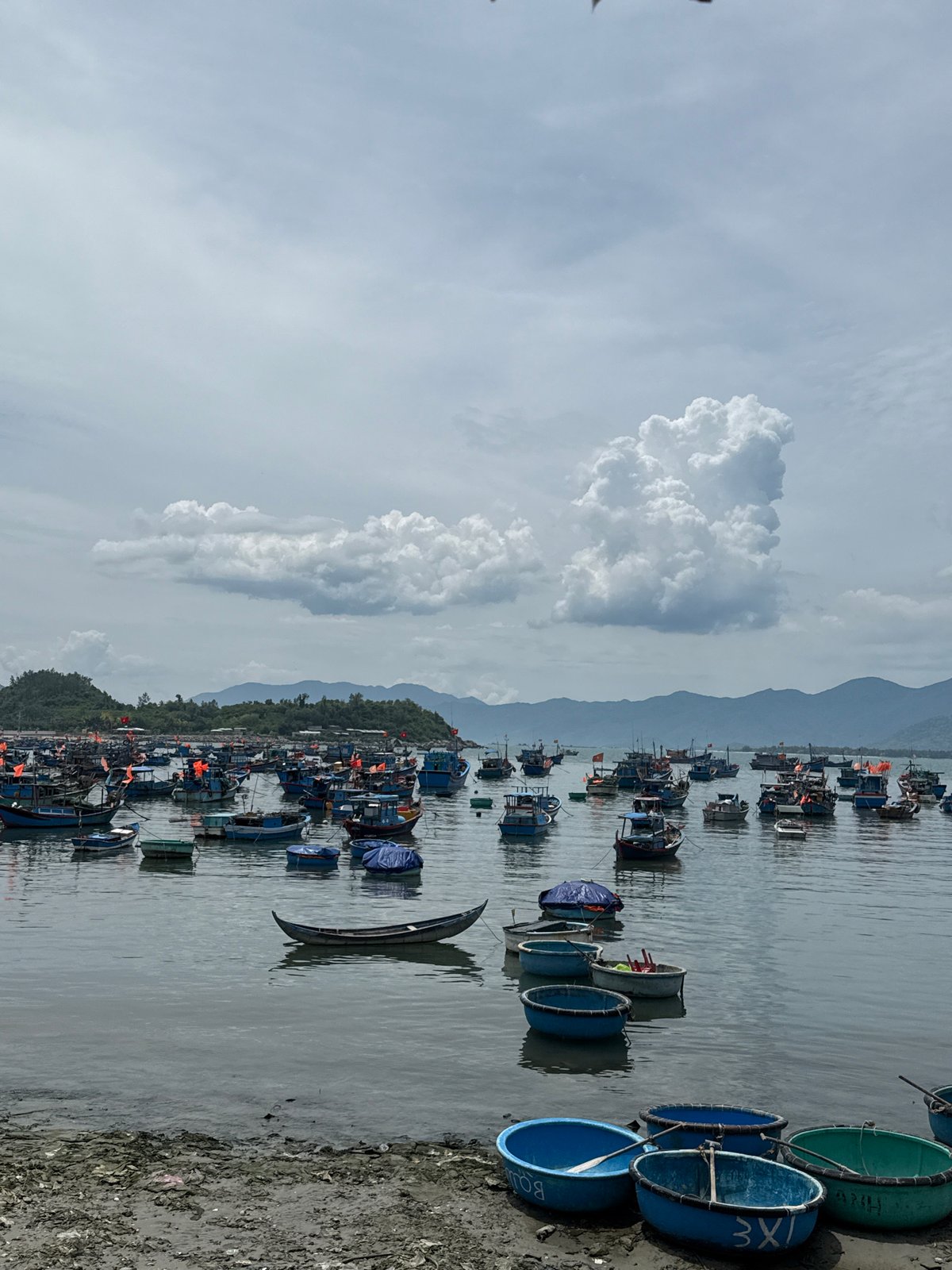 Fishing fleet anchored in Vĩnh Lương harbor, Vietnam morning