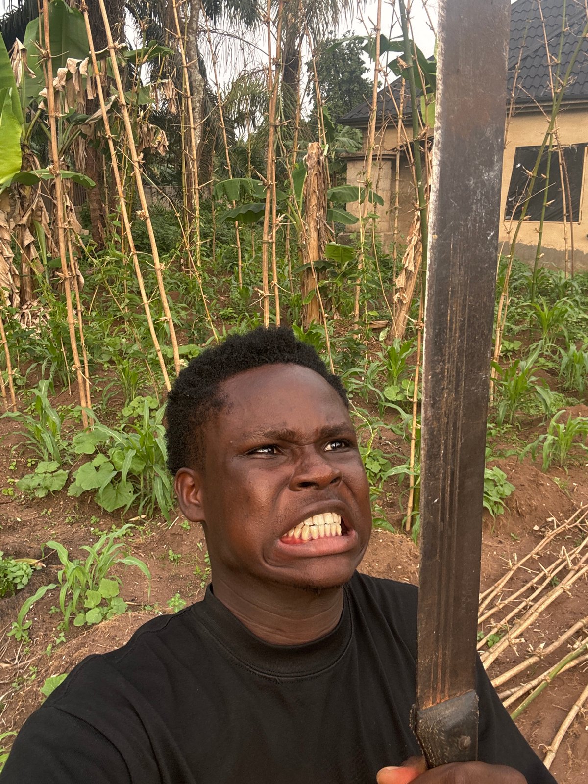 Daily life scenes captured in Aboh, Nigeria afternoon