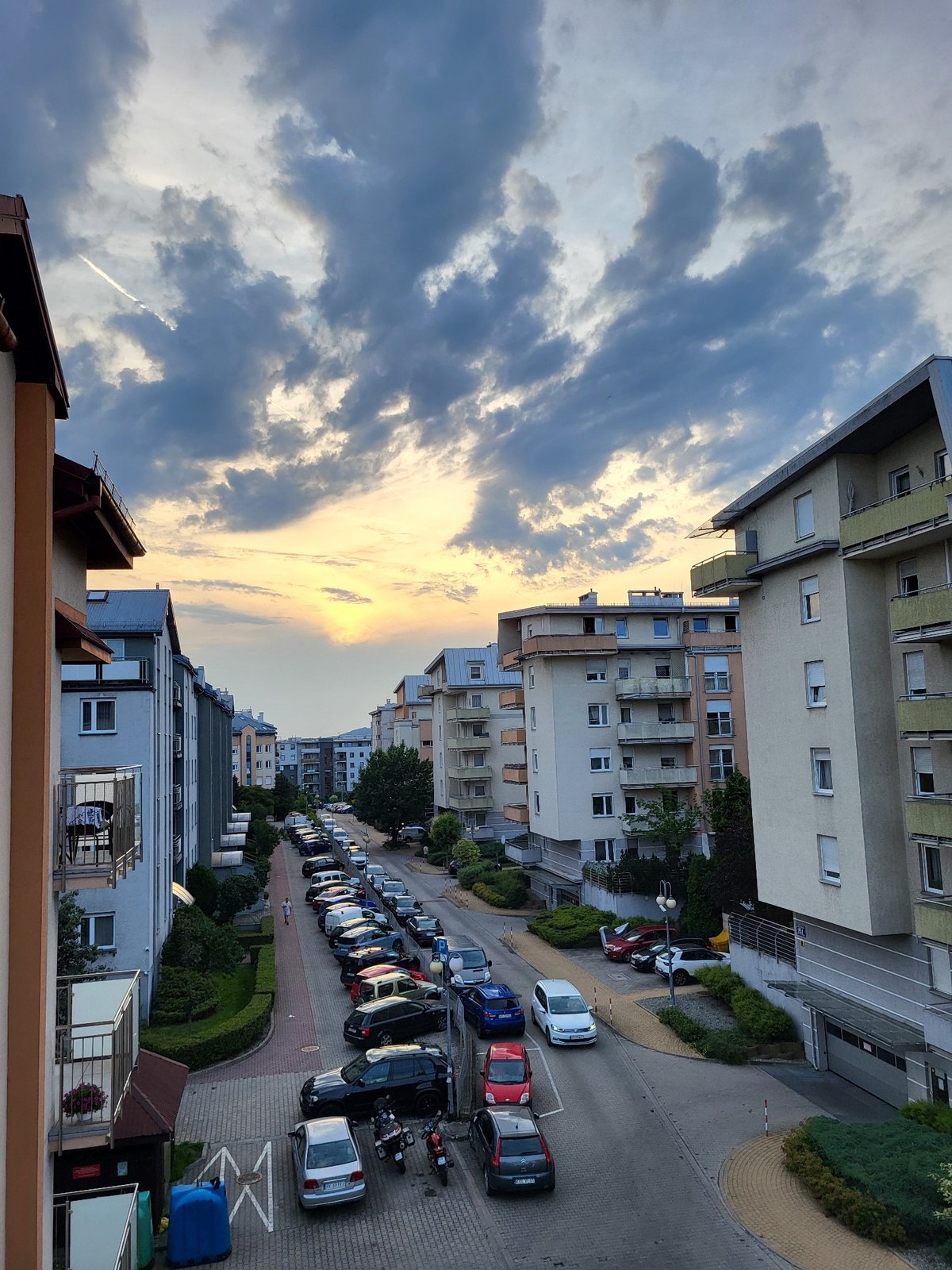 Dramatic dusk sky, city rooftops, and a relaxed Scottish Fold cat