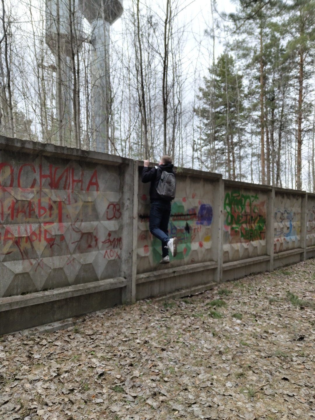 Morning forest walk documented in Прикамский, Russia
