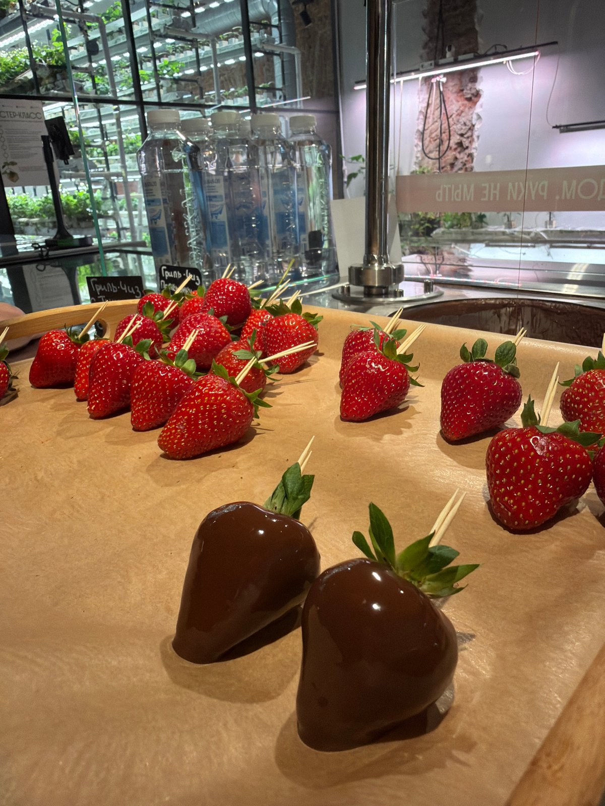 Chocolate-dipped strawberries made fresh in Saint Petersburg