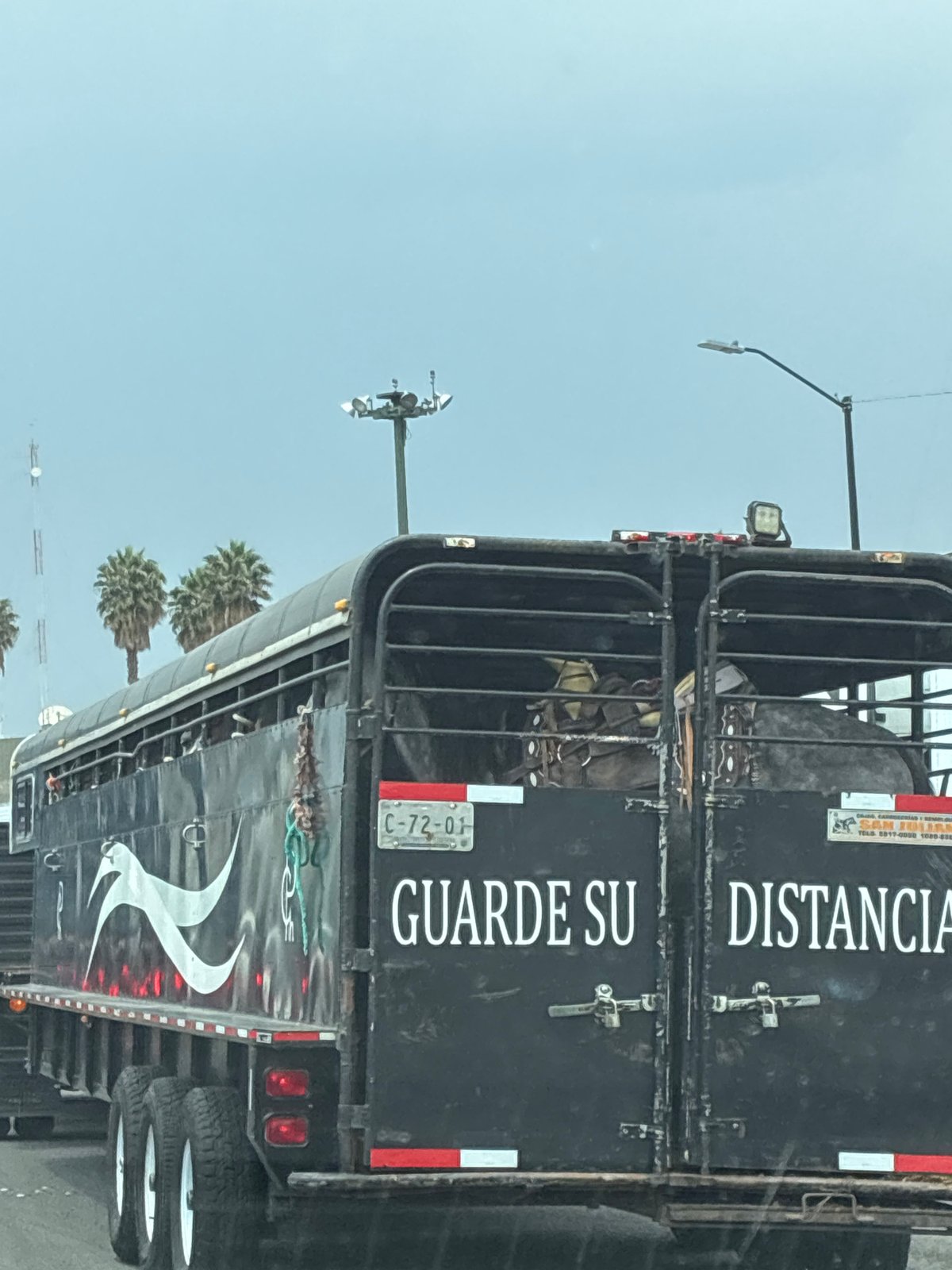 Livestock trailer with safety message spotted in Tepotzotlán