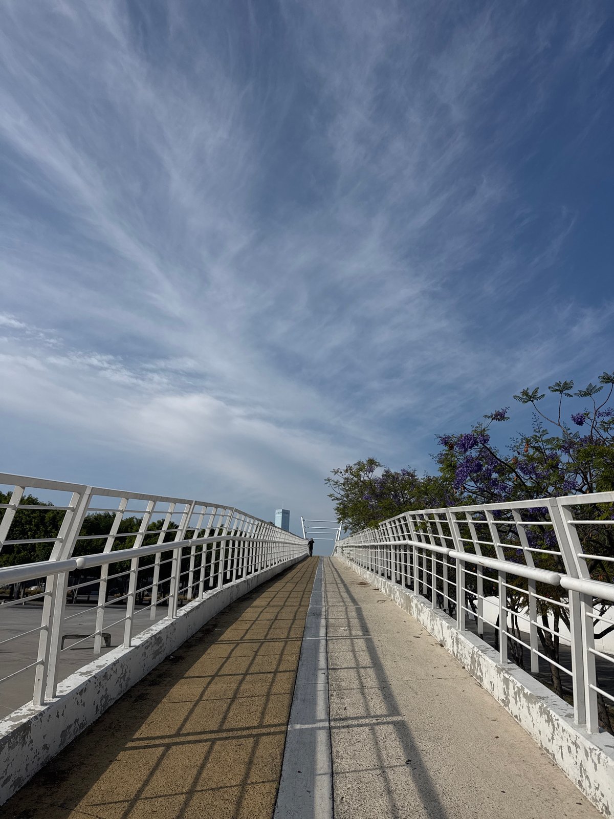 Cyclist crosses pedestrian bridge in Puebla during sunny afternoon