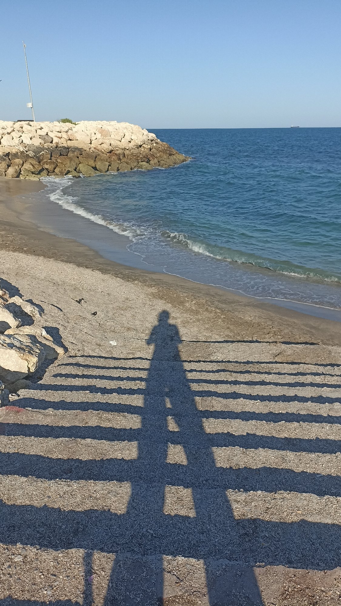 Beach, skatepark, and a cat: a coastal afternoon in full.