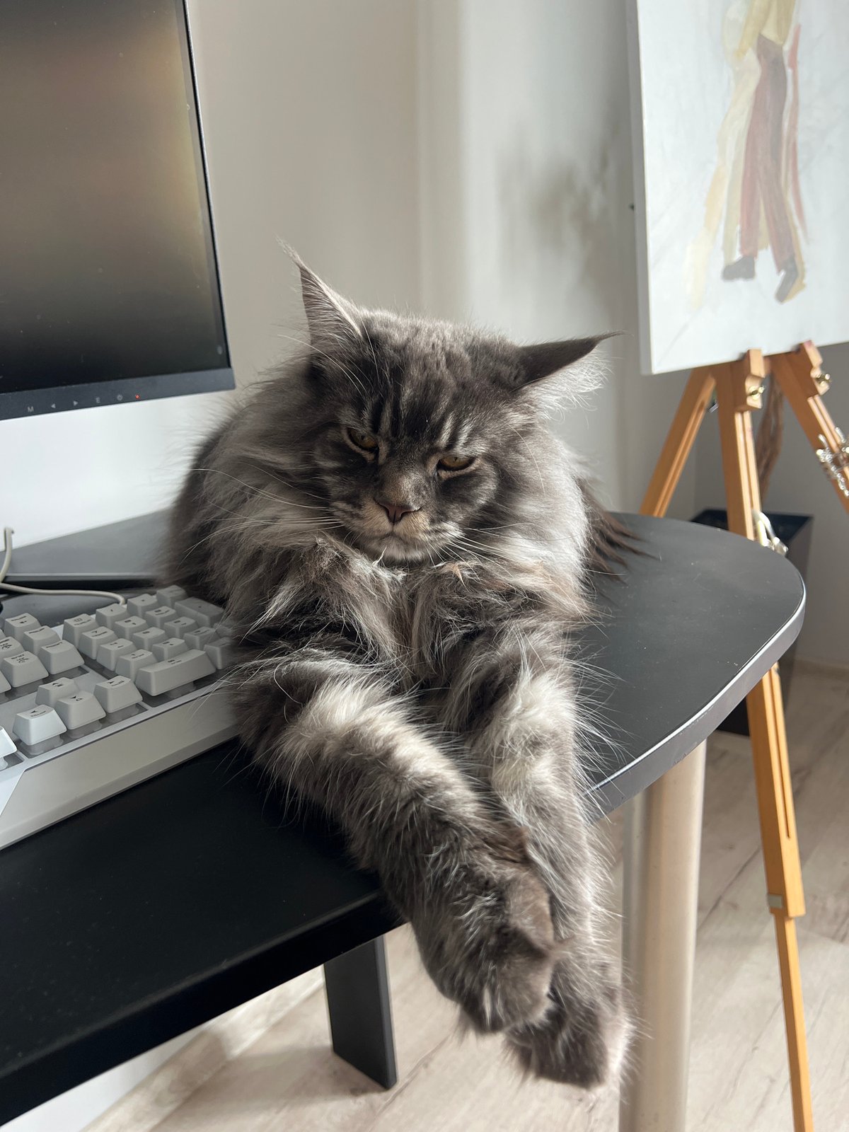 Morning routine documented with cat companion in Ternopil apartment
