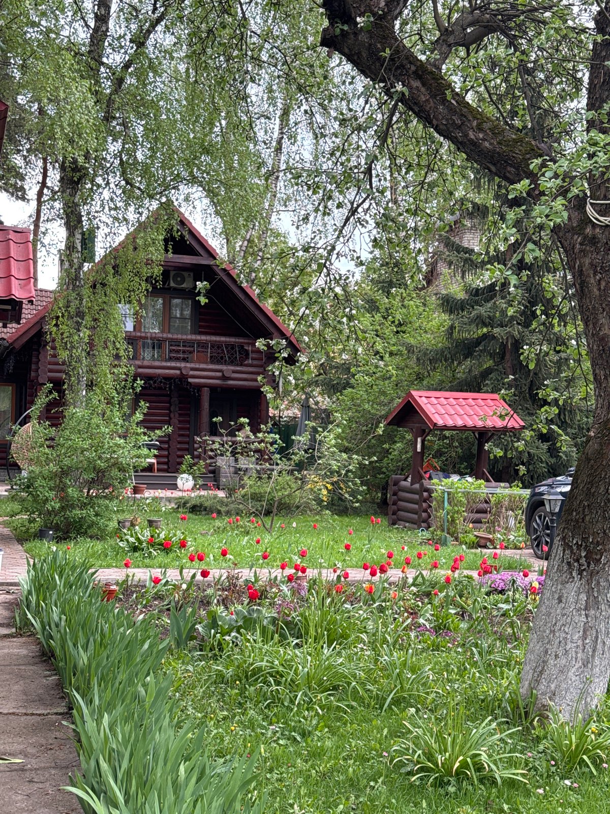 Spring blooms documented in Tomilino residential garden