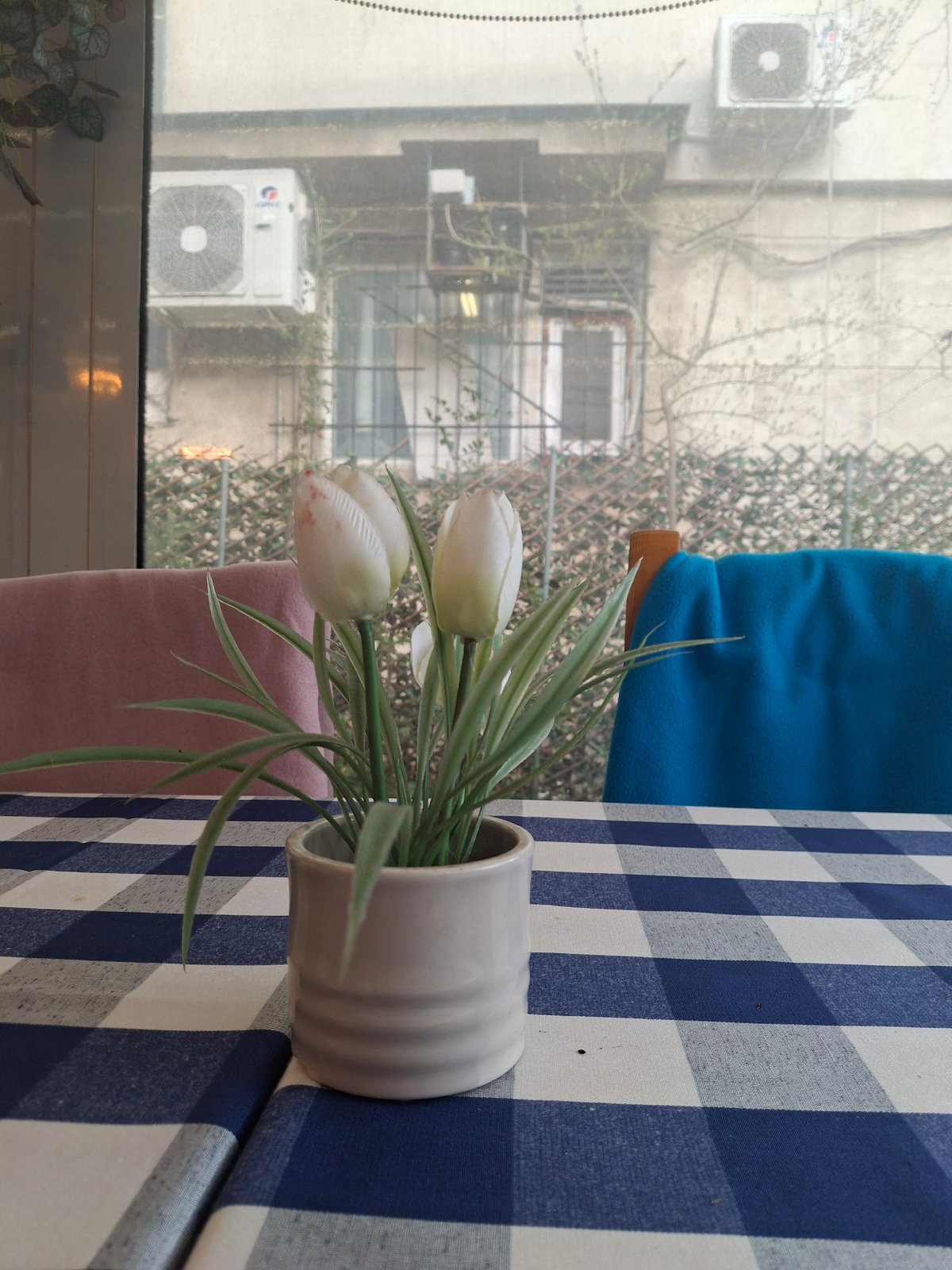 Domestic indoor scenes captured across Sofia apartments