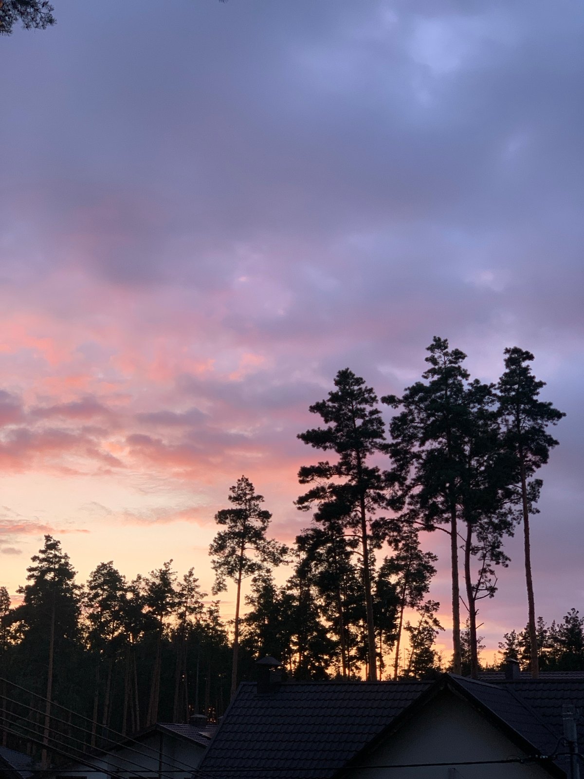 Pine silhouettes against a vivid sunset sky in Hostomel