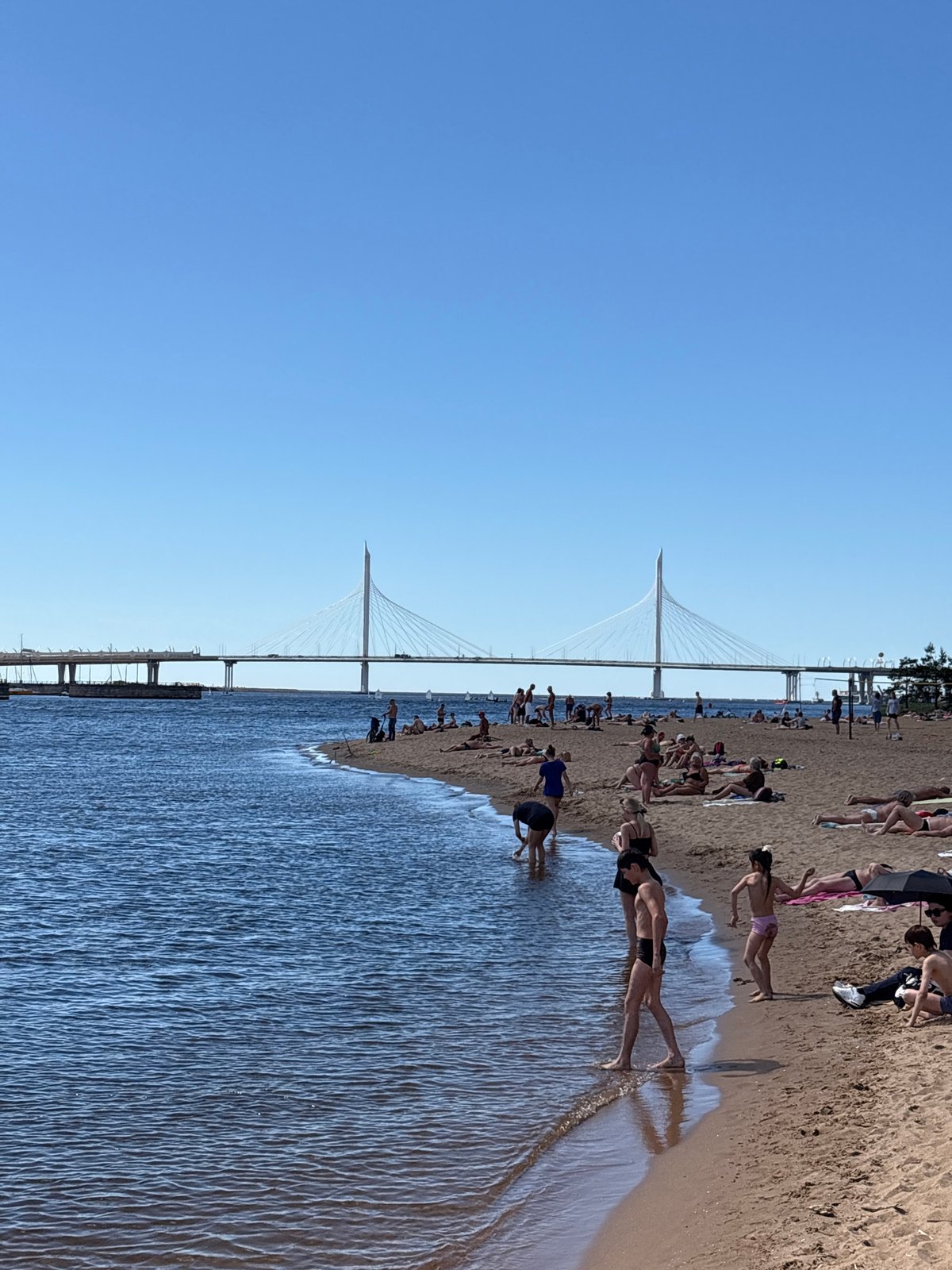 Saint Petersburg waterfront buzzes on a sunny summer morning