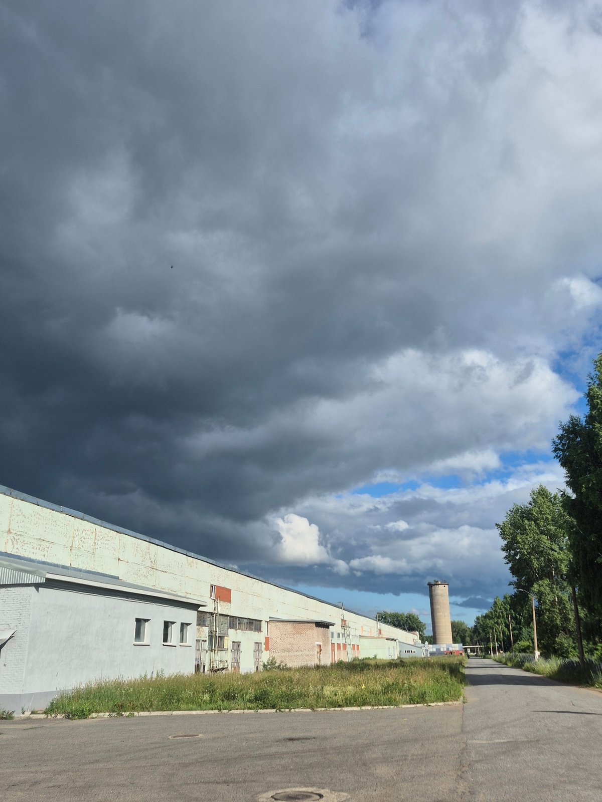 Flowers and industrial buildings on a summer afternoon in Chaikovsky