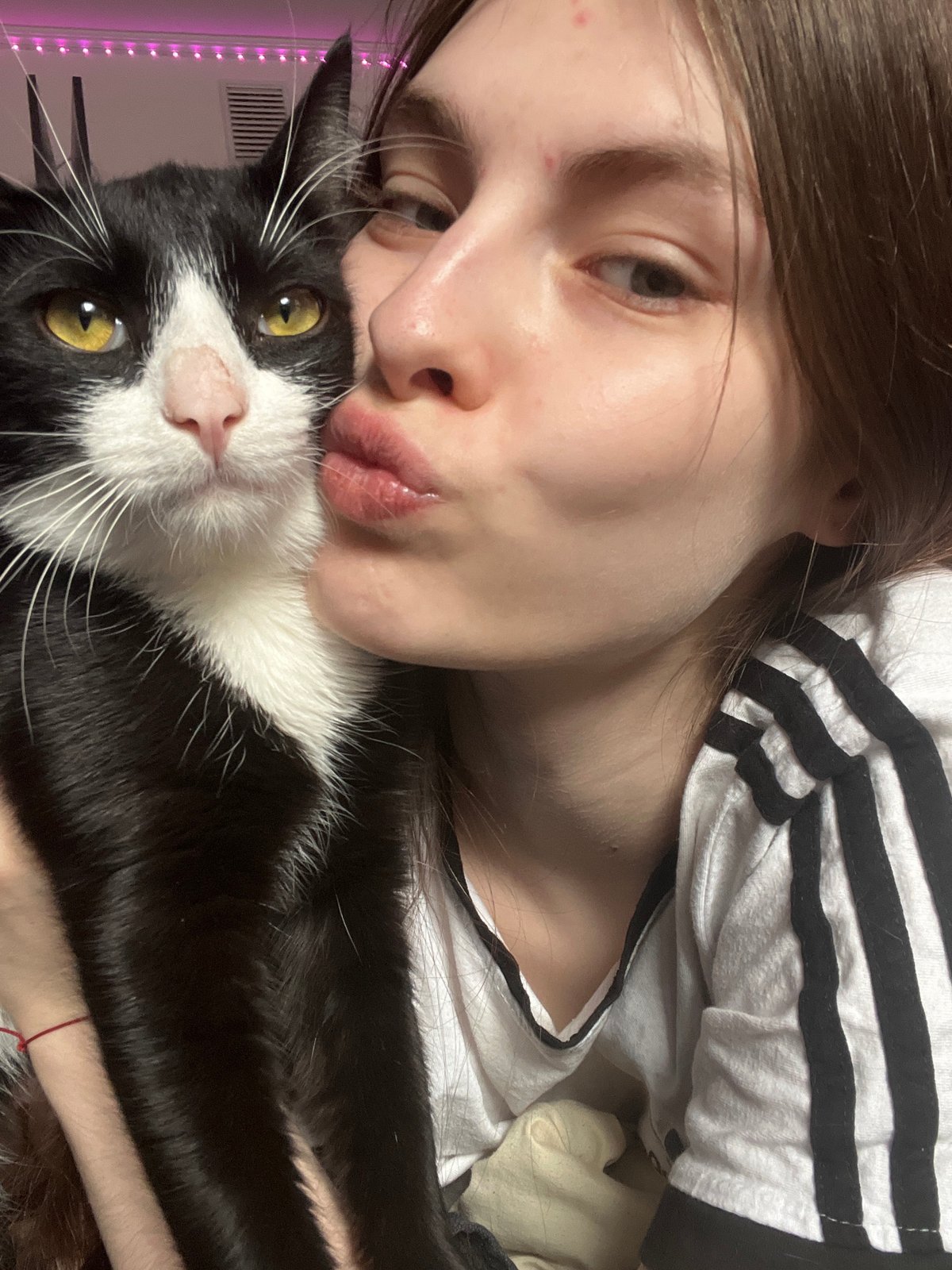 Person takes playful selfies with tuxedo cat in Saint Petersburg