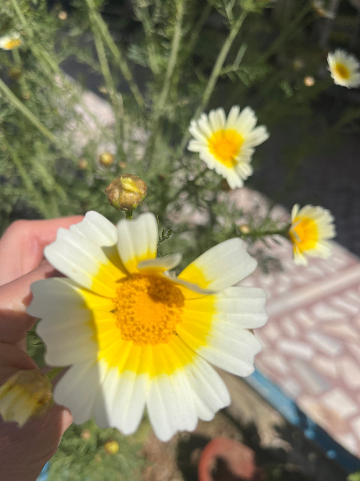 Easter table setting observed in Alanya, Turkey