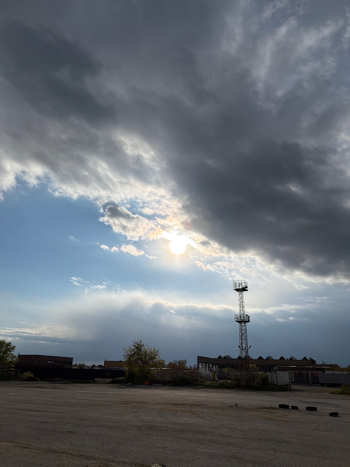 Afternoon snapshots: street scenes, German Shepherd interactions, indoor moments