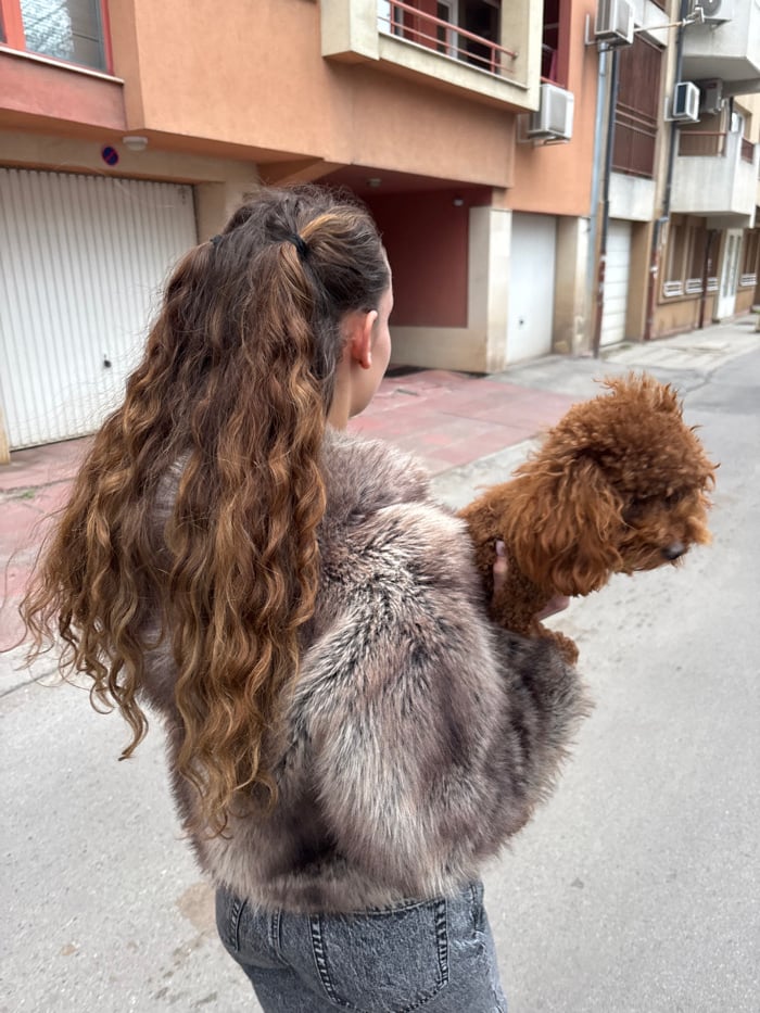 Woman carries poodle through Sofia streets during afternoon outing