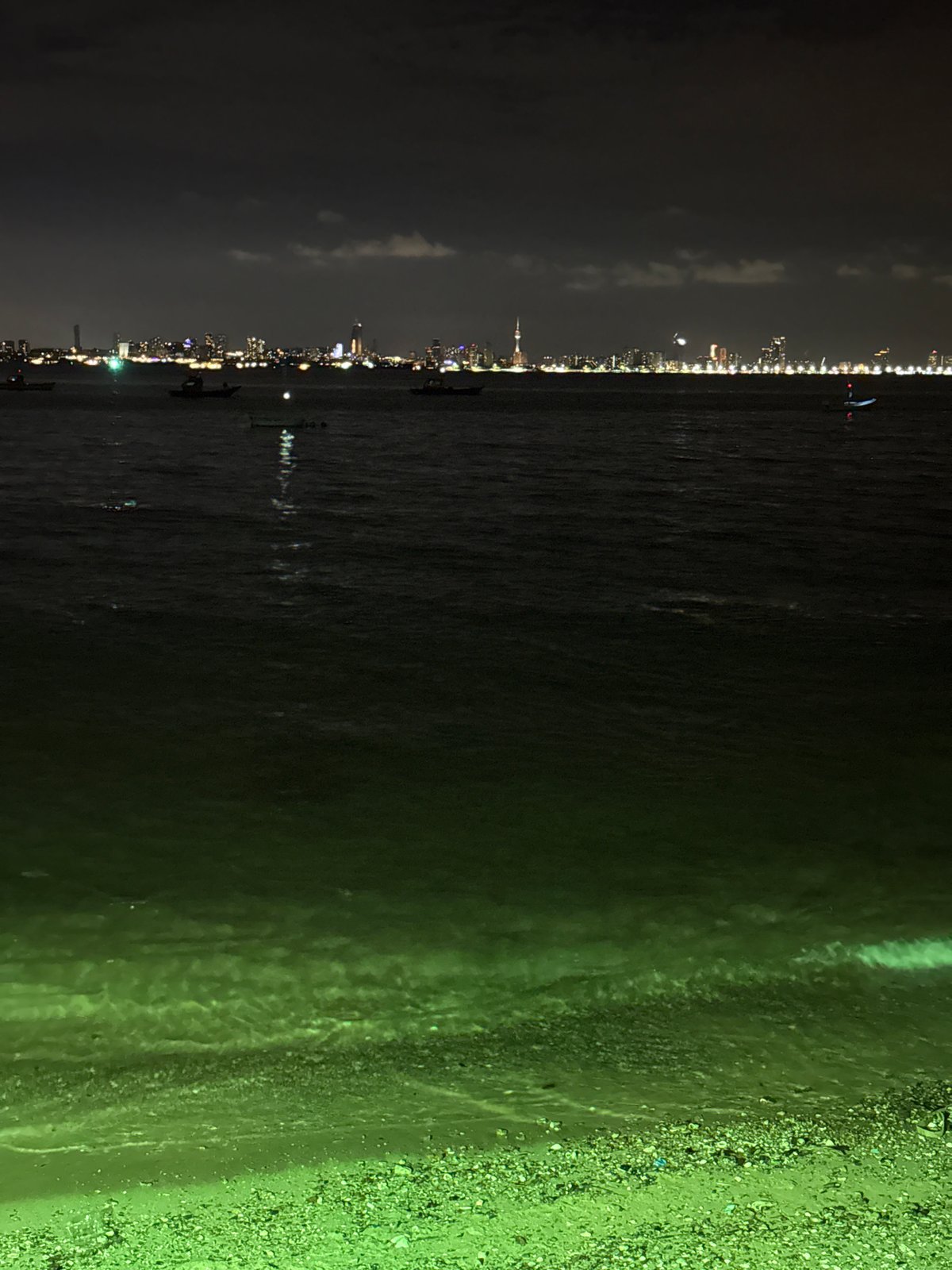 Woman enjoys poolside evening overlooking Pattaya City skyline