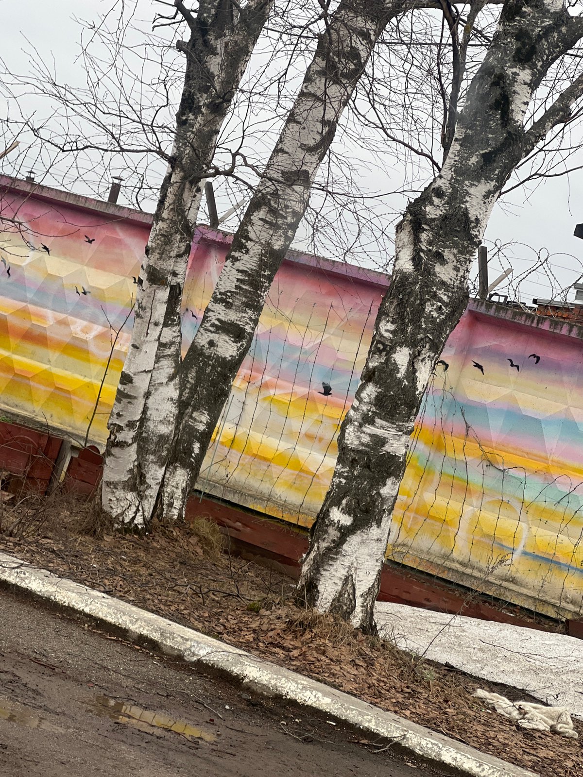 Geometric murals and architecture documented in Chaikovsky, Russia