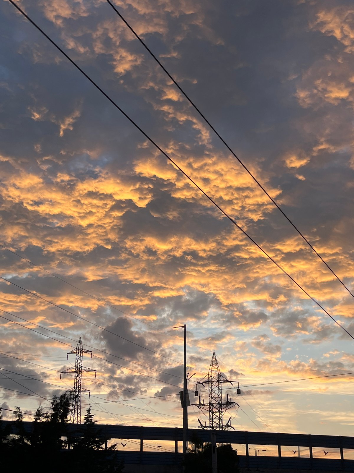 Sofia resident documents sunset and indoor moments over evening hour
