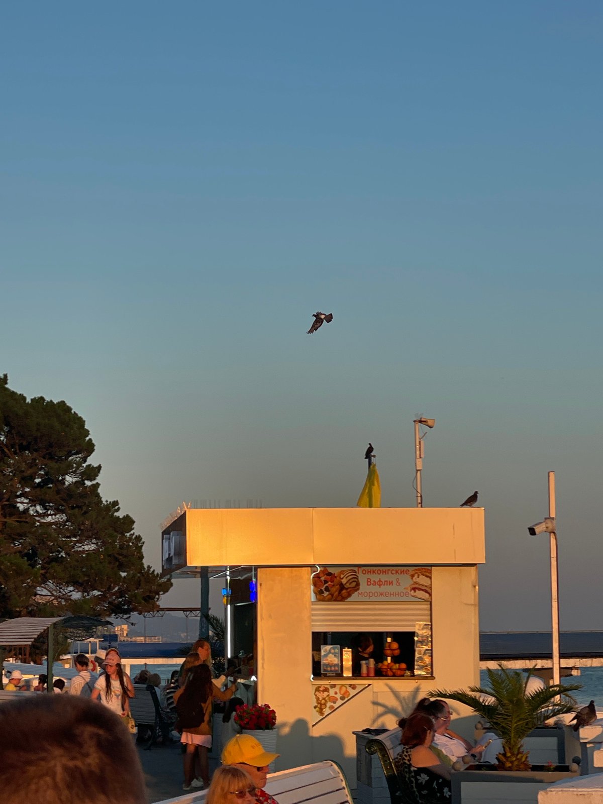 Sochi waterfront at golden hour: beach, cafes, and sunset