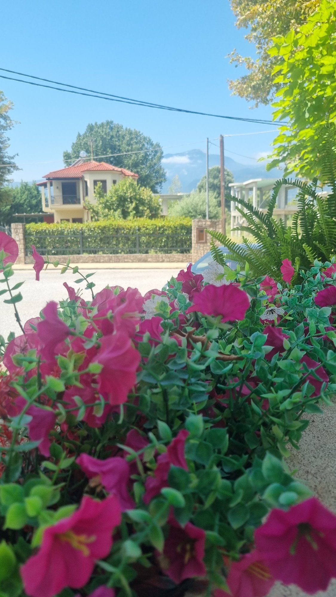 Flowers, mountains, and a waterfront restaurant in Limani Litochorou