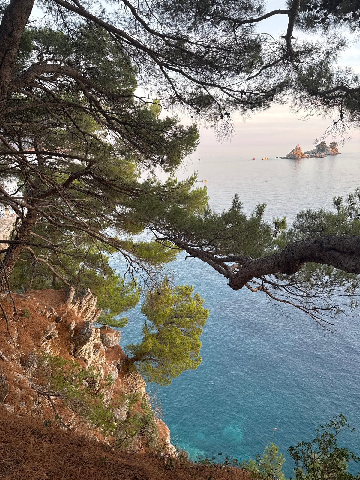 Clifftop views over Petrovac's Adriatic coastline and offshore islets