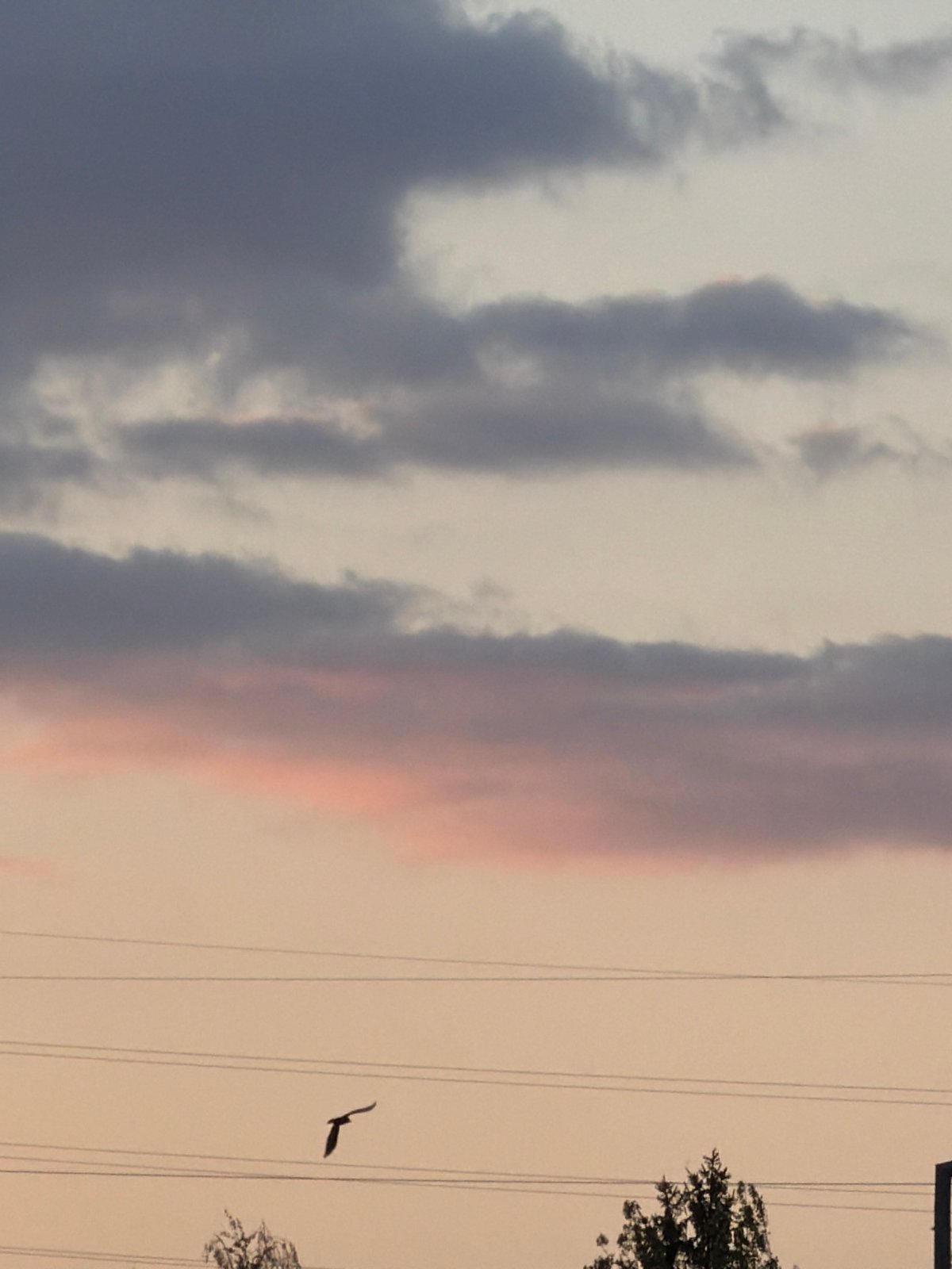 Dramatic sunset illuminates skies over Esch-sur-Alzette, Luxembourg