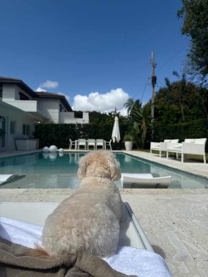 Dog and person relax on patio furniture in Coral Gables