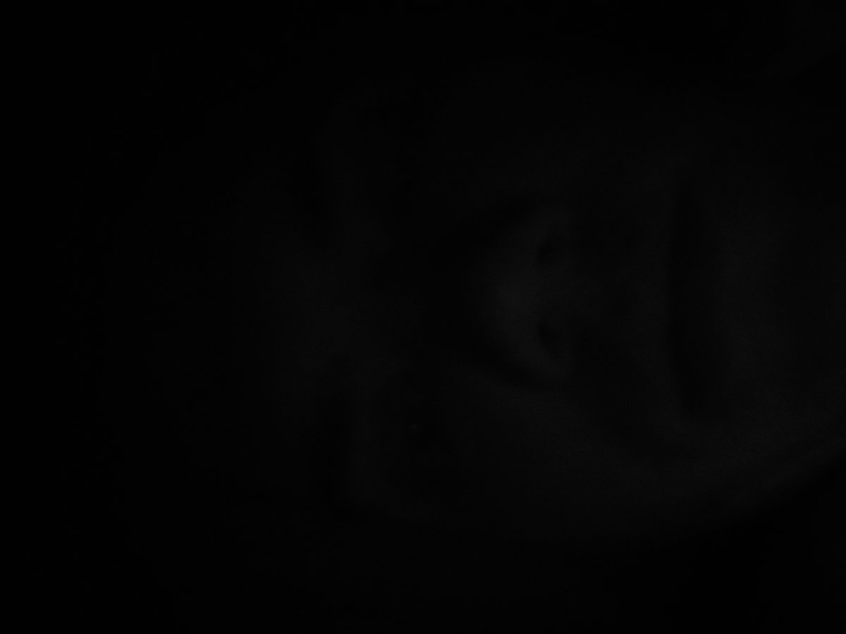Dark image captured in Tashkent prevents witness identification