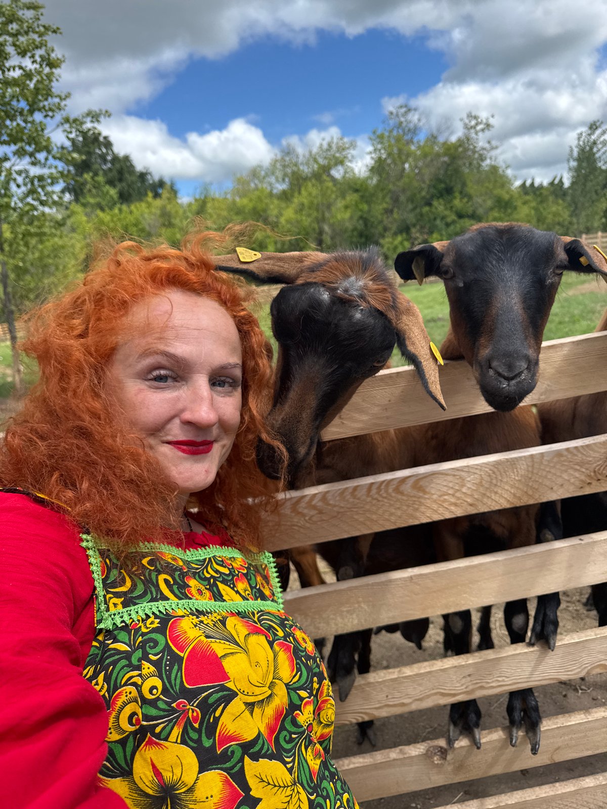 Camels, goats, and a quirky pit stop in Tri Ozera
