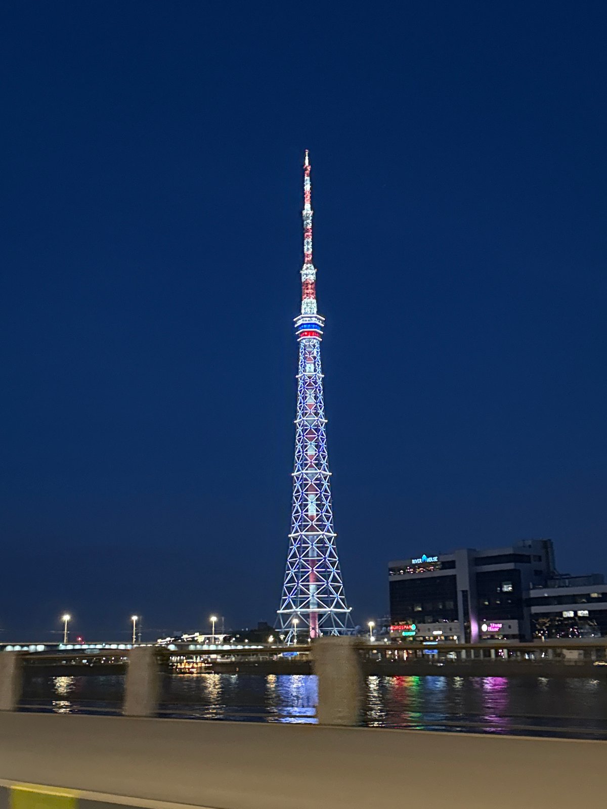 Saint Petersburg TV Tower photographed illuminated against night sky