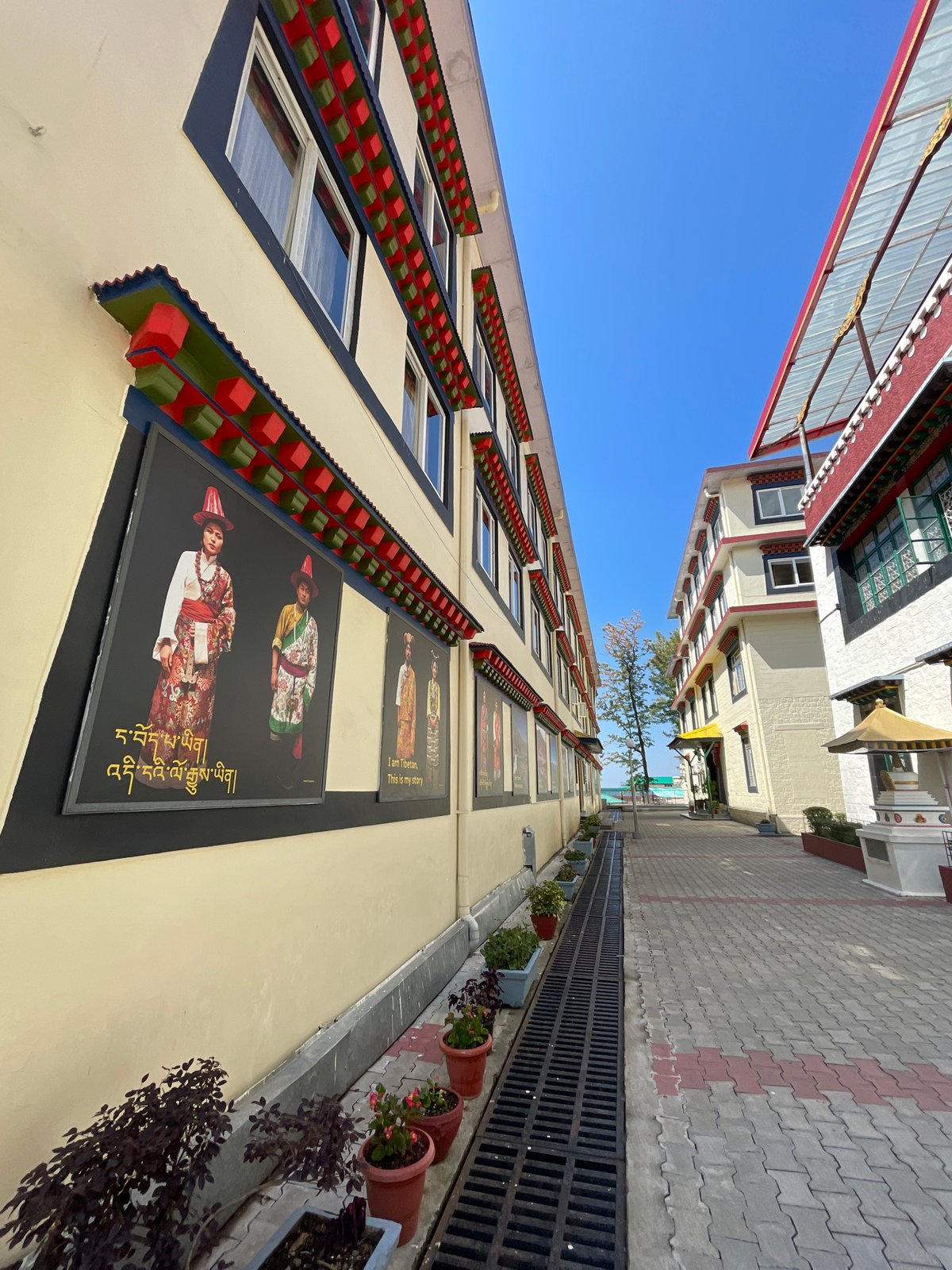 Early morning street scenes documented in Dharamshala, India