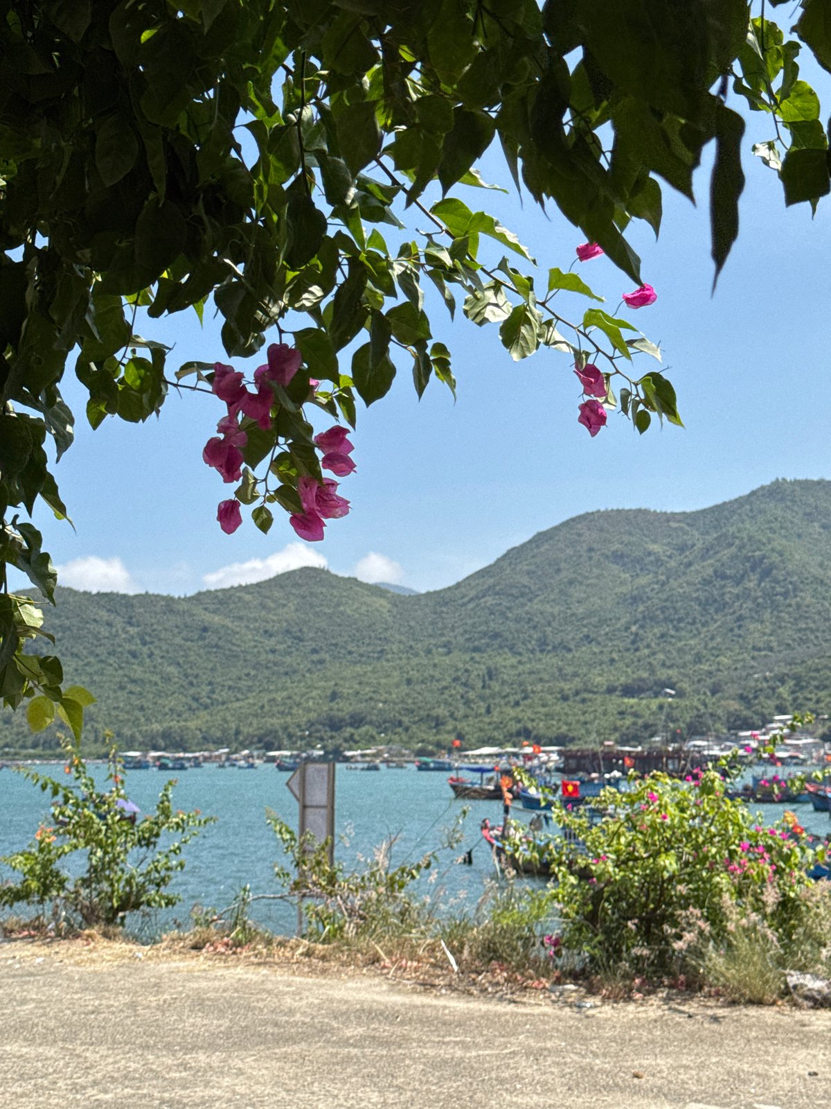 Coastal road and boat-filled harbor viewed in Nha Trang