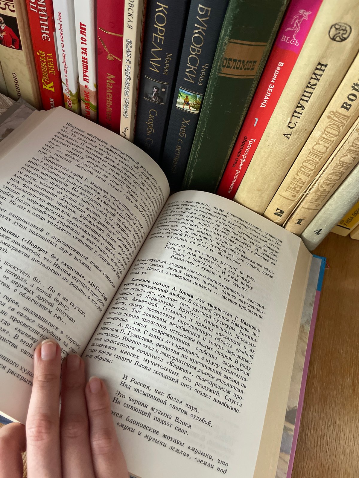 Quiet domestic afternoon in Sredny: figurines, books, and soup