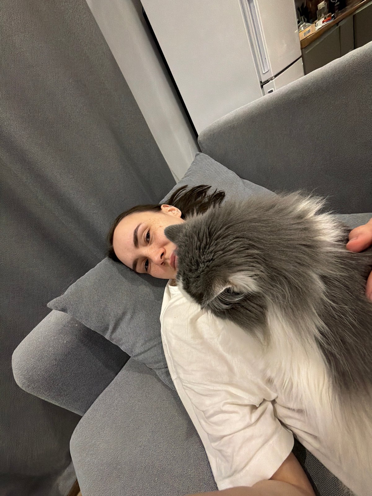 Cat rests on person's chest during quiet moment