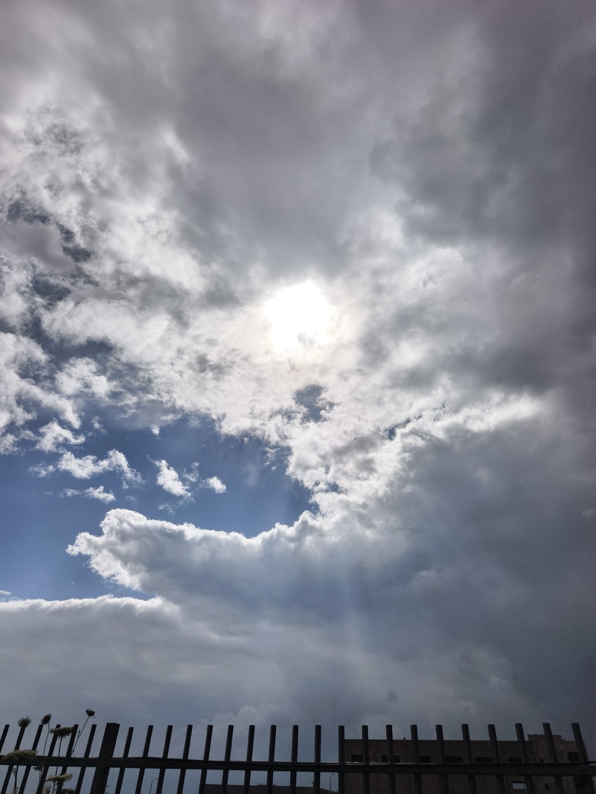Witness captures spring sky and wildflowers in Jezreel Valley
