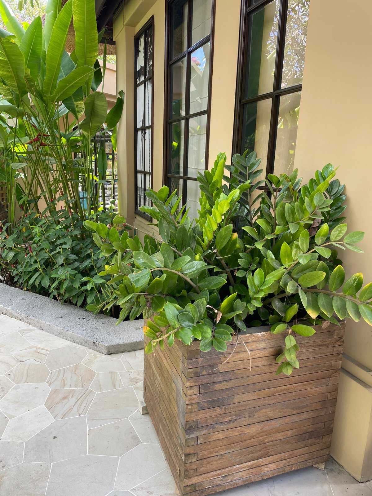 Tropical garden compound documented in pre-dawn hours