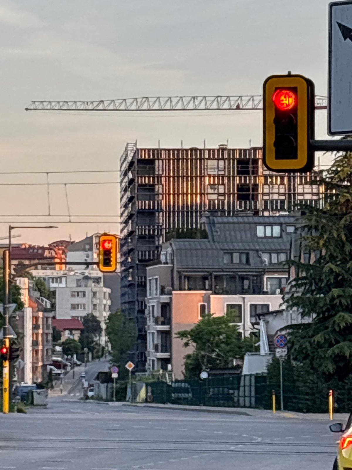 Dawn street scenes and snail sighting documented in Sofia
