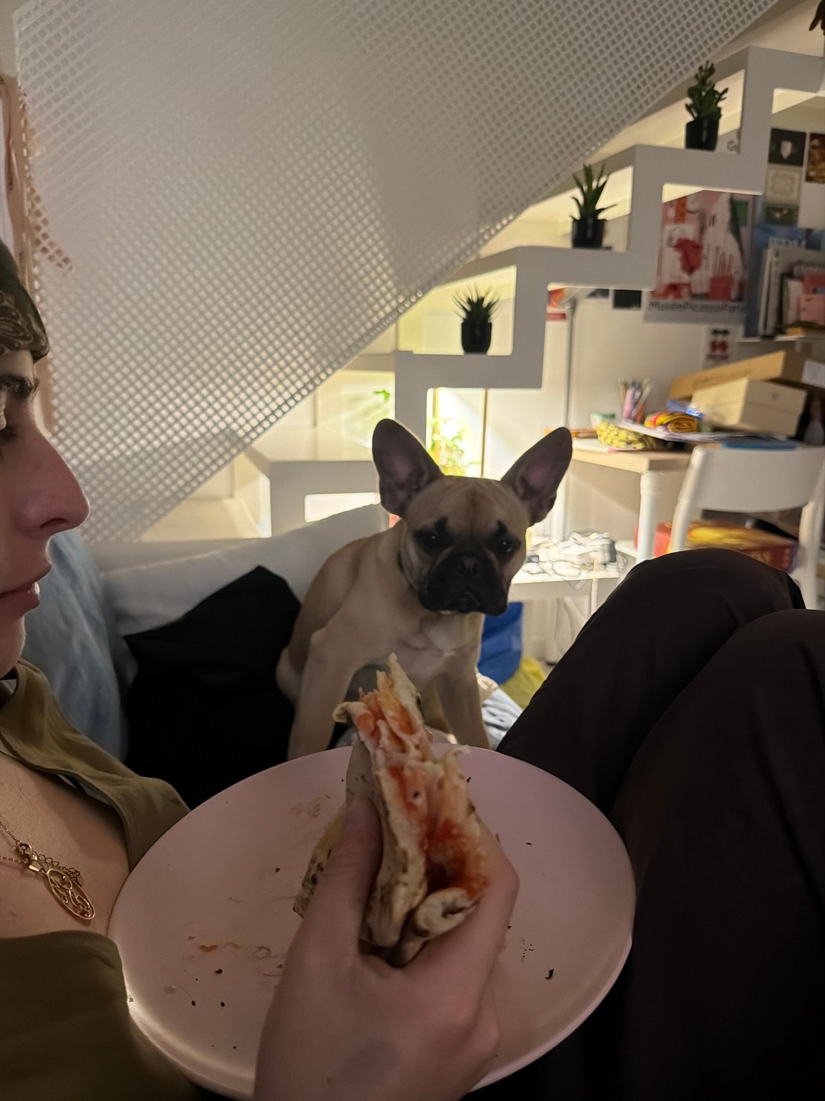 Person shares pizza moment with curious dog in Milan