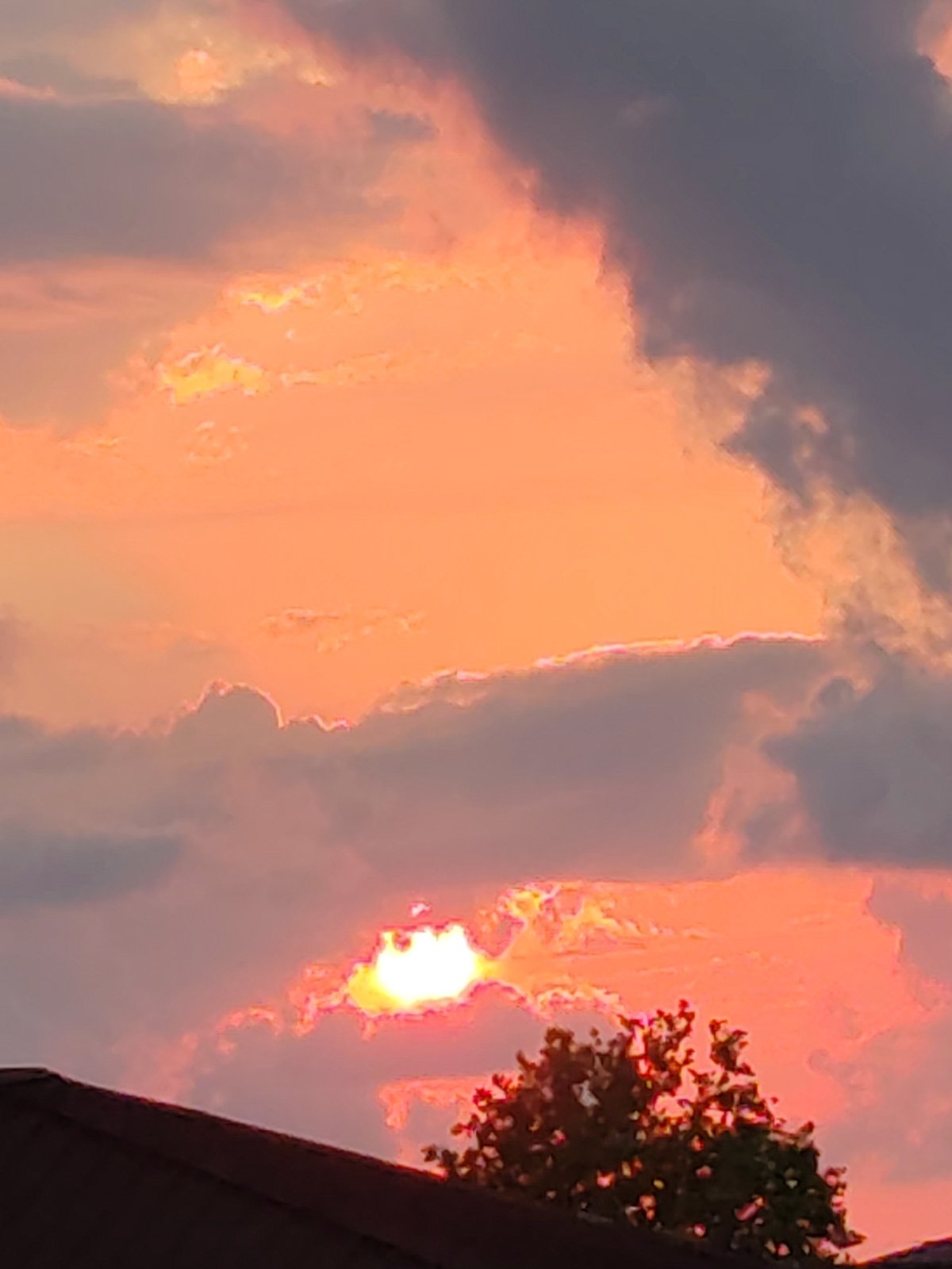 Stormy sunset skies over Batumi, birds in silhouette