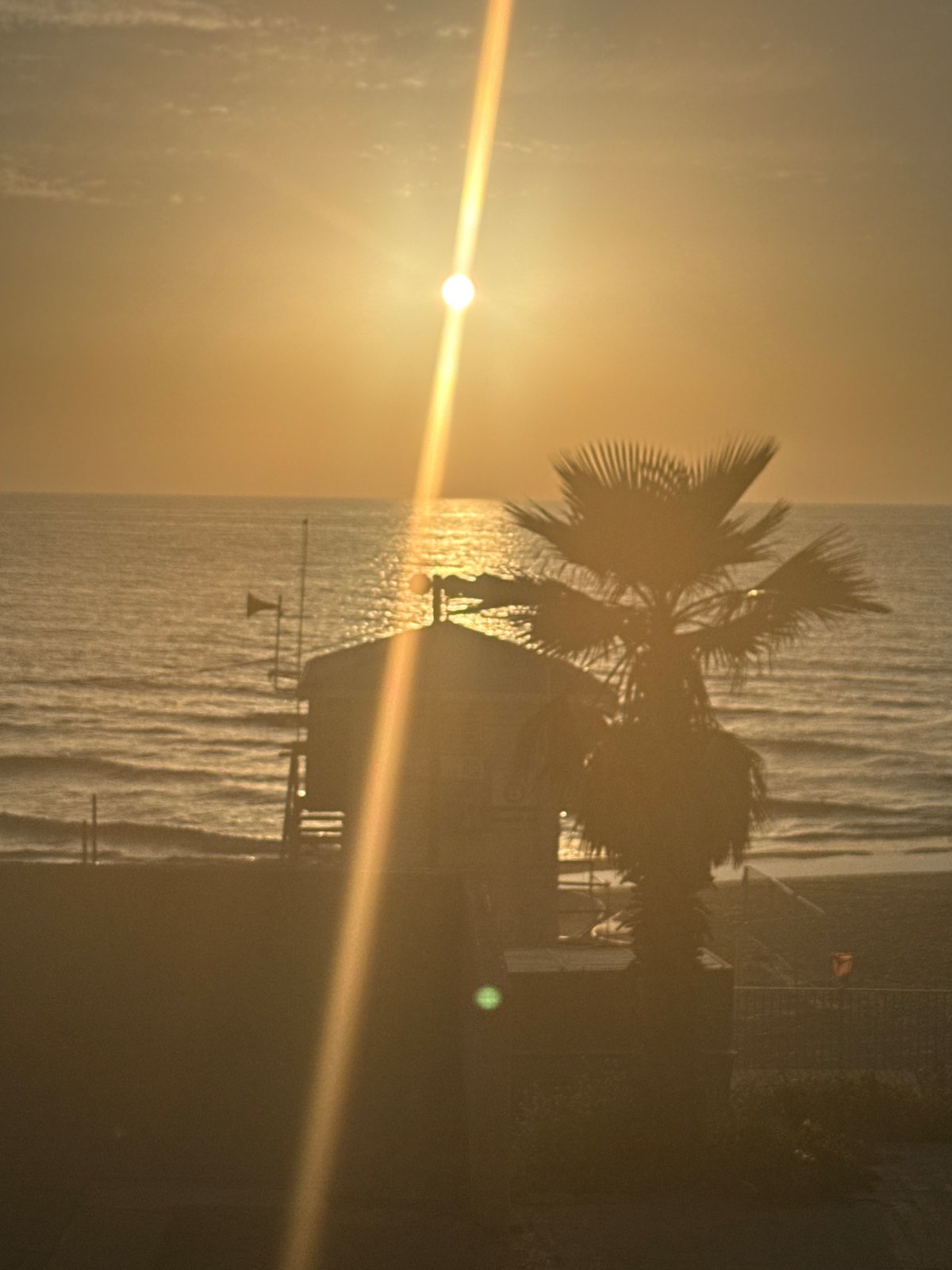 Sunset and cat moments captured in Bat Yam beach town