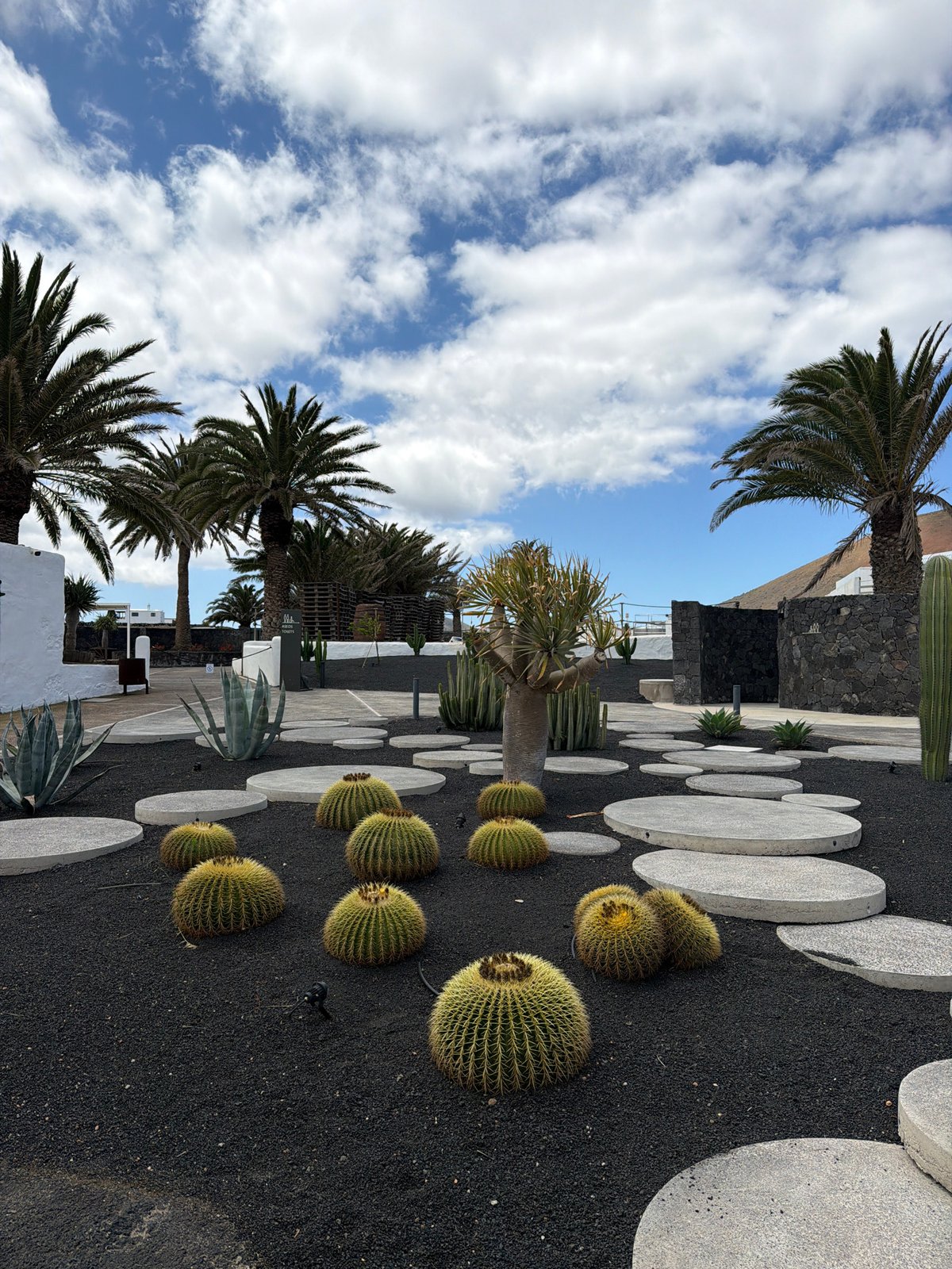 Tourist documents traditional crafts and volcanic vineyards in San Bartolomé