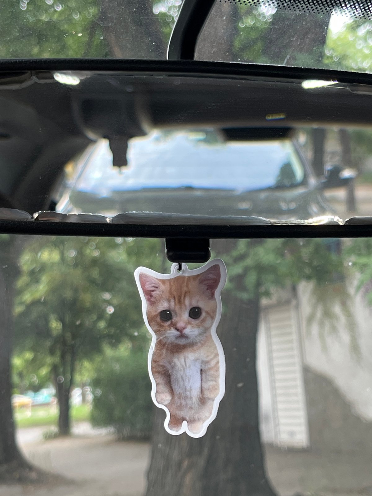 Morning traffic in Orizari, kitten ornament in the rearview