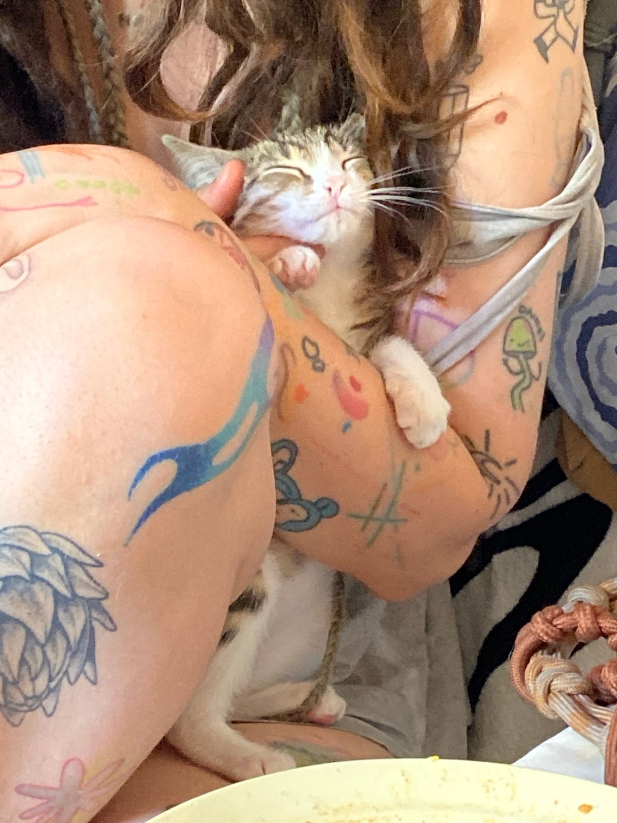 Cats, tattoos, and a quiet Tbilisi morning at home