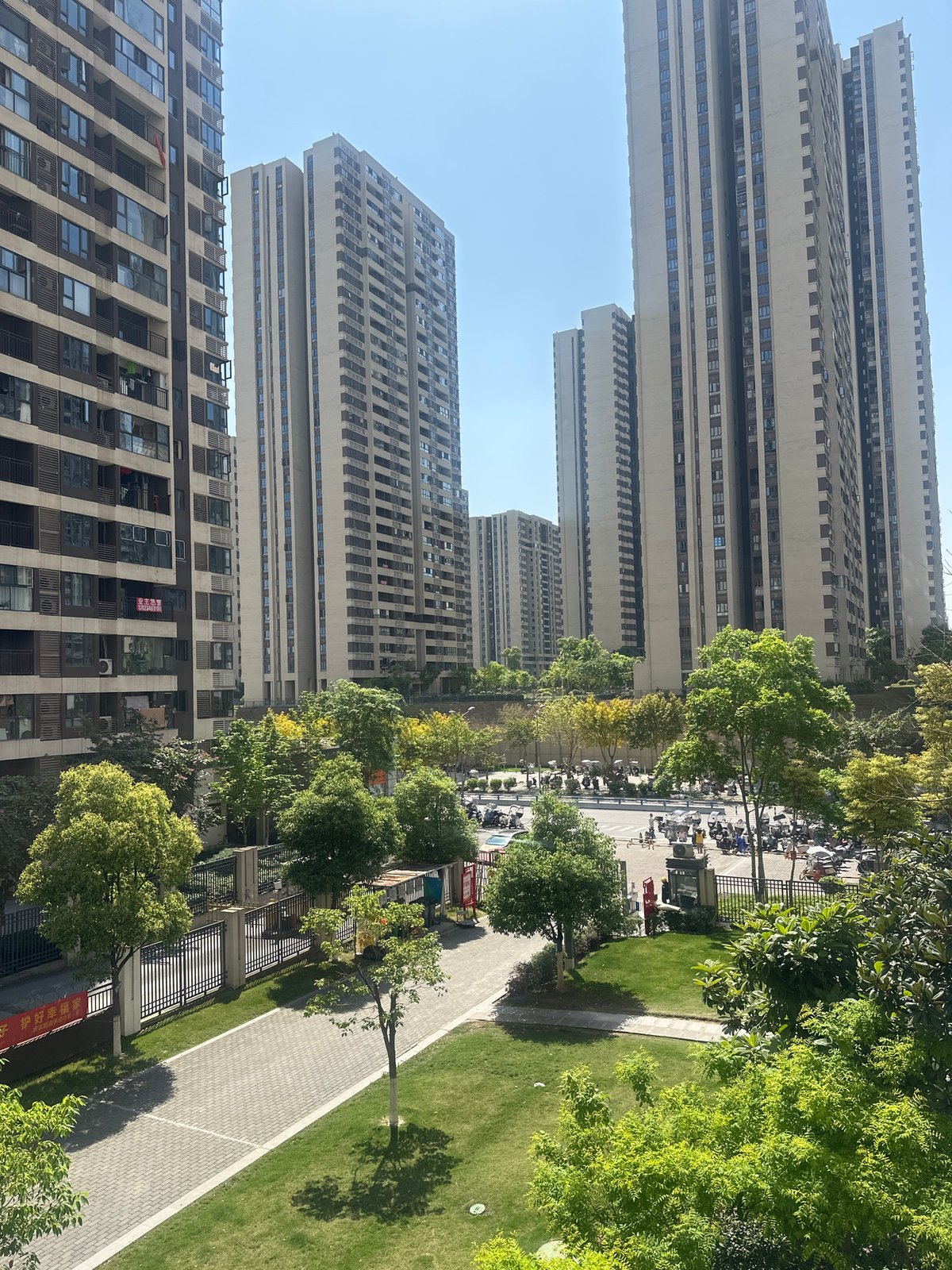 Morning observations captured in Chongqing High-tech Zone residential area