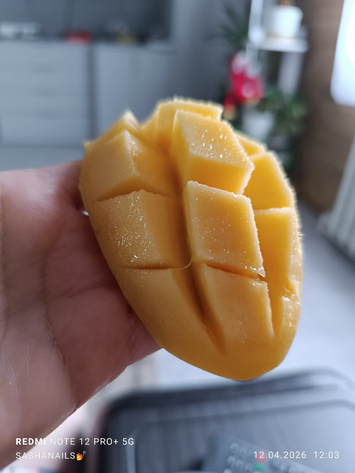 Easter morning preparations documented in Chaikovsky home