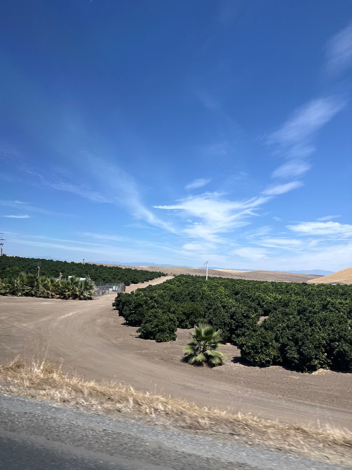 Dusty farm road cuts through dry Central Valley cropland