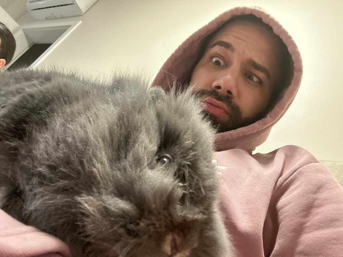 Person in pink hoodie holds grey cat in Sofia